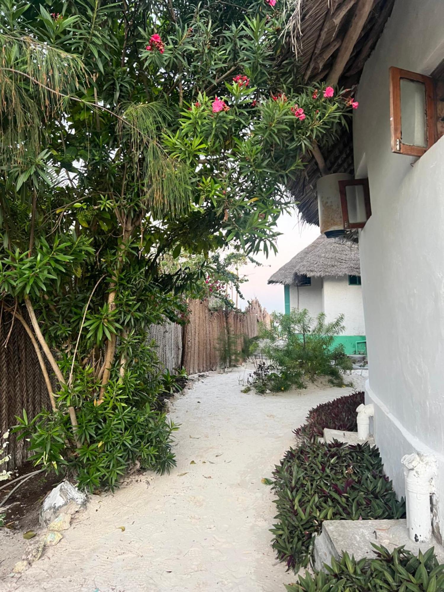فندق Duara Beach House باجي المظهر الخارجي الصورة